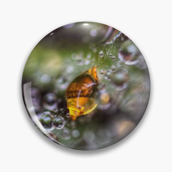 Item preview, Jewel in a spider's web designed and sold by AntonyMitchell.