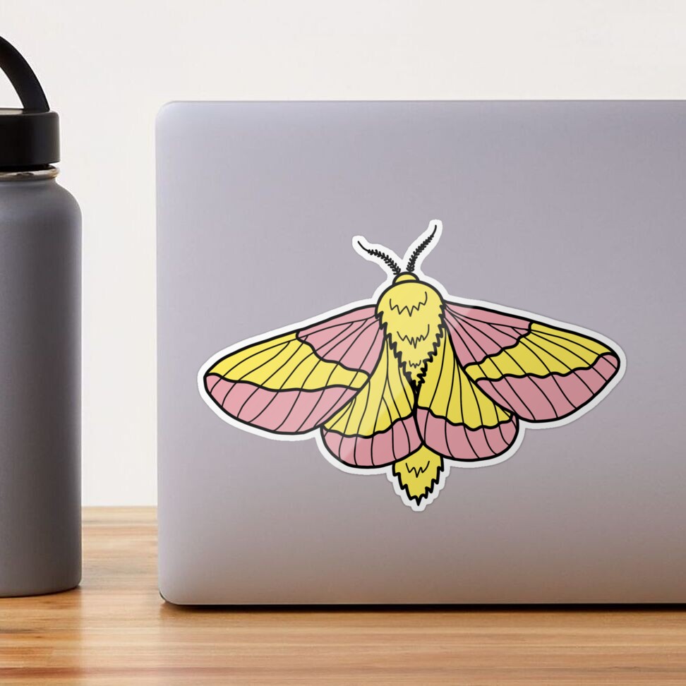 Rosy Maple Moth Waterproof Vinyl Sticker – Botanical Bright - Add a Little  Beauty to Your Everyday