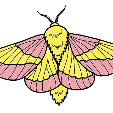 Rosy Maple Moth Waterproof Vinyl Sticker – Botanical Bright - Add a Little  Beauty to Your Everyday