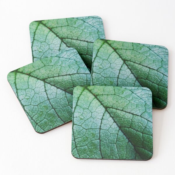 Item preview, Leaf close up designed and sold by CloseupCaptured.