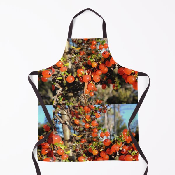 Item preview, Orange Coprosma Berries, Cradle Mountain, Tasmania, Australia. designed and sold by kaysharp.