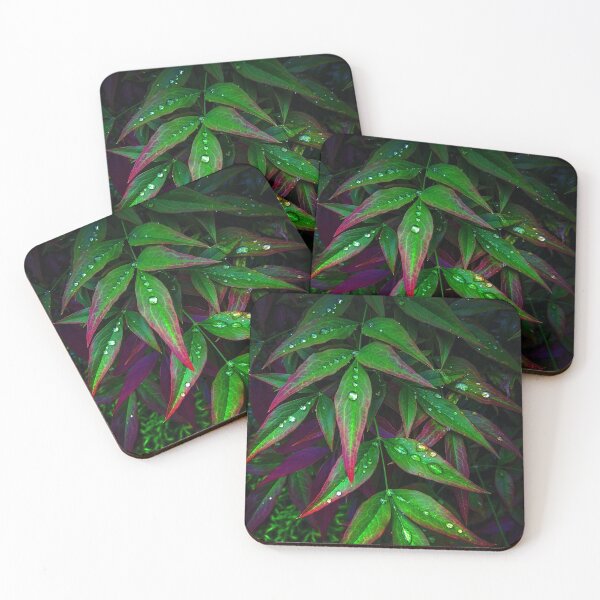 Item preview, Leaves at Night designed and sold by CloseupCaptured.