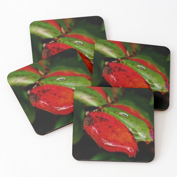 Item preview, Red Green Leaves designed and sold by CloseupCaptured.