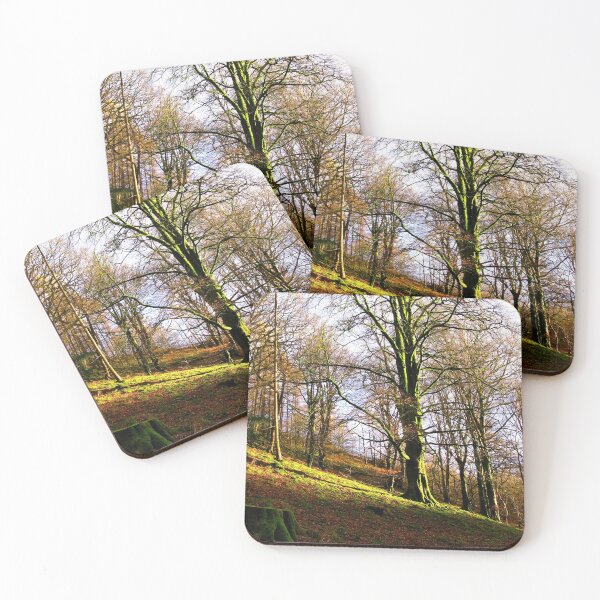 Item preview, Sunlit Trees - Tarn Hows, Cumbria. designed and sold by Marilyn Harris.
