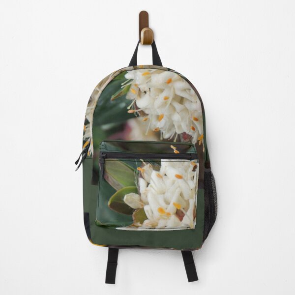 Item preview, Pimelea ligustrina ciliata, The Horn, Mount Buffalo,Victoria, Australia designed and sold by kaysharp.