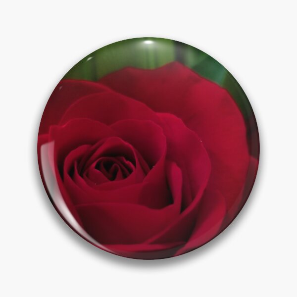 Item preview, Red rose designed and sold by CloseupCaptured.