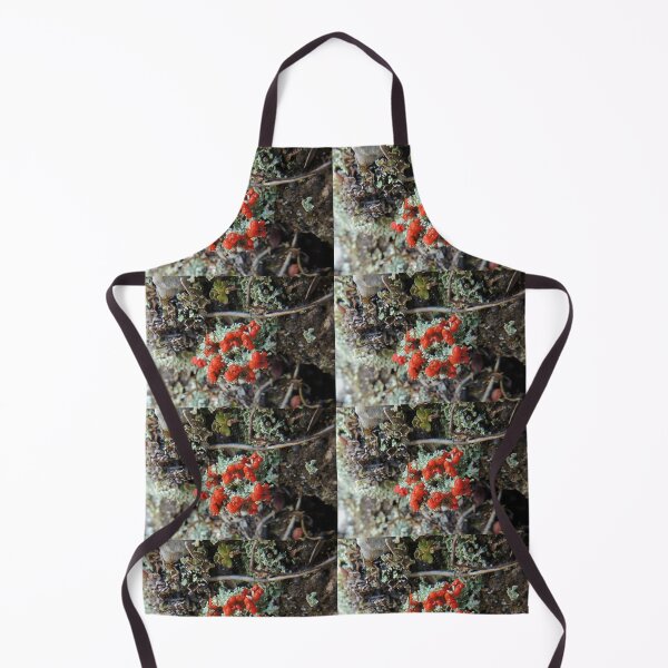 Item preview, British Soldiers Lichen, Cradle Mountain, Tasmania, Australia. designed and sold by kaysharp.