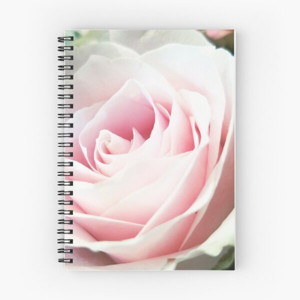 Item preview, Pink rose designed and sold by CloseupCaptured.