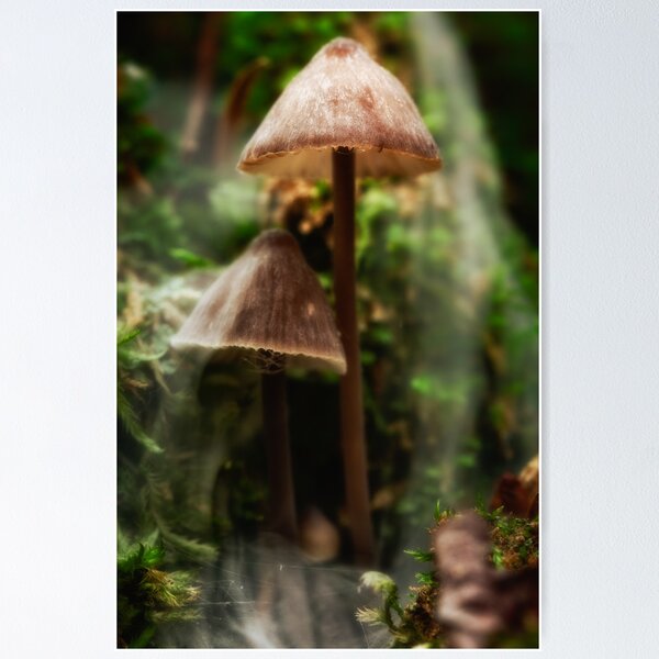 Item preview, We barely remember what came before this precious moment designed and sold by Keith Johnston.