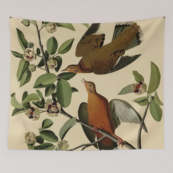 Item preview, 162 Zenaida Dove designed and sold by Bird-Lore.