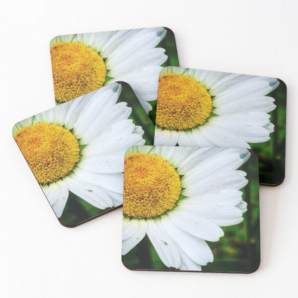 Item preview, Vintage Daisy designed and sold by CloseupCaptured.
