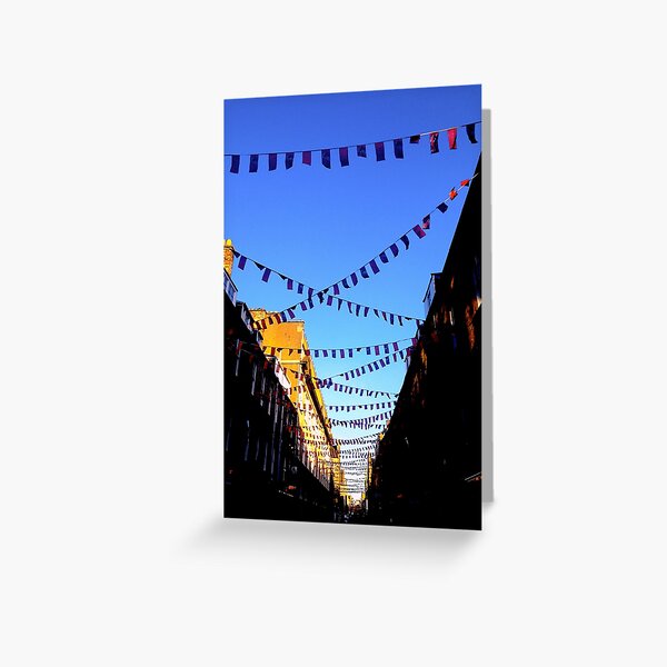 Bunting Greeting Card