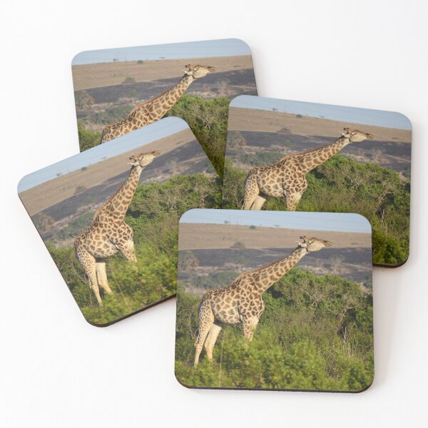 Item preview, Stretching Giraffe  designed and sold by SeanTPhotog.
