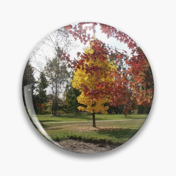 Item preview, The Promise of Things to Come, Tumut, Australia. designed and sold by kaysharp.