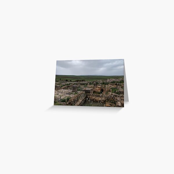 Item preview, The Ruins designed and sold by Katmo97.