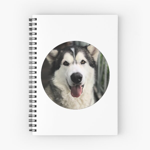 Aperçu de l'œuvre Adorable Husky créée et vendue par Beatific Art Dv.