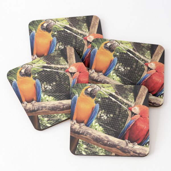 Item preview, couple of macaws photo designed and sold by MendesMay.
