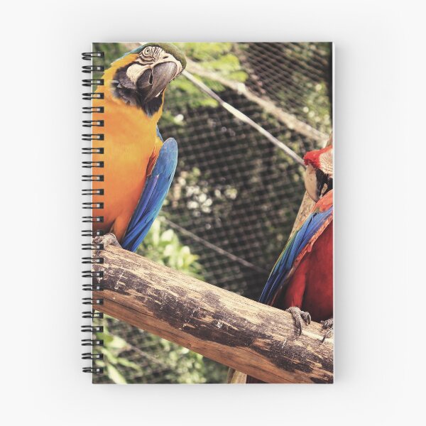 Item preview, couple of macaws photo designed and sold by MendesMay.