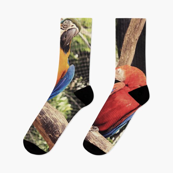 Item preview, couple of macaws photo designed and sold by MendesMay.