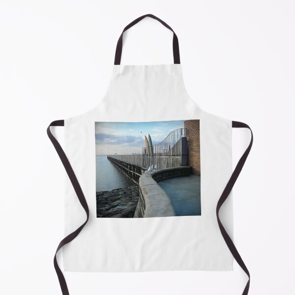 Artikelvorschau, Möwen und Surfbretter entworfen und verkauft von Roz McQuillan Fine Art & Photography.