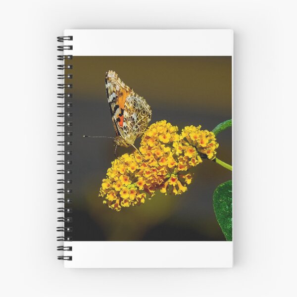 Item preview, Beautiful nature photograph designed and sold by Shubham2202.
