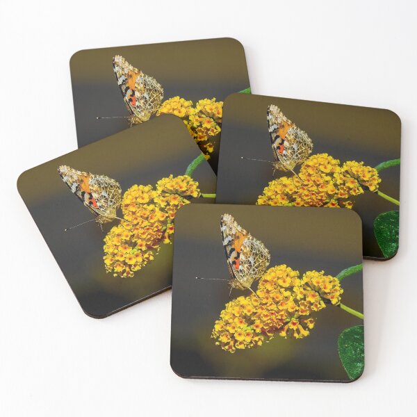 Item preview, Beautiful nature photograph designed and sold by Shubham2202.