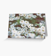 little flowers Greeting Card