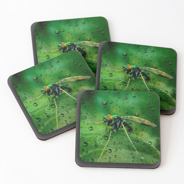 Item preview, Mosquito sitting on Leaf designed and sold by prashant art factory ✅️.