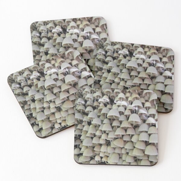 Item preview, High Rise Living, Budderoo National Park, NSW, Australia. designed and sold by kaysharp.