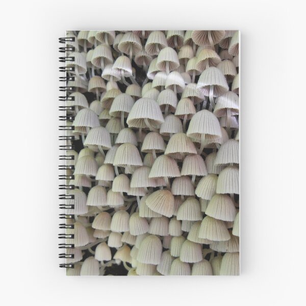 Item preview, High Rise Living, Budderoo National Park, NSW, Australia. designed and sold by kaysharp.