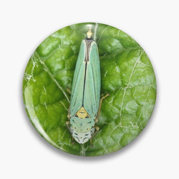 Item preview, Blue-green sharpshooter designed and sold by SDym Photography.