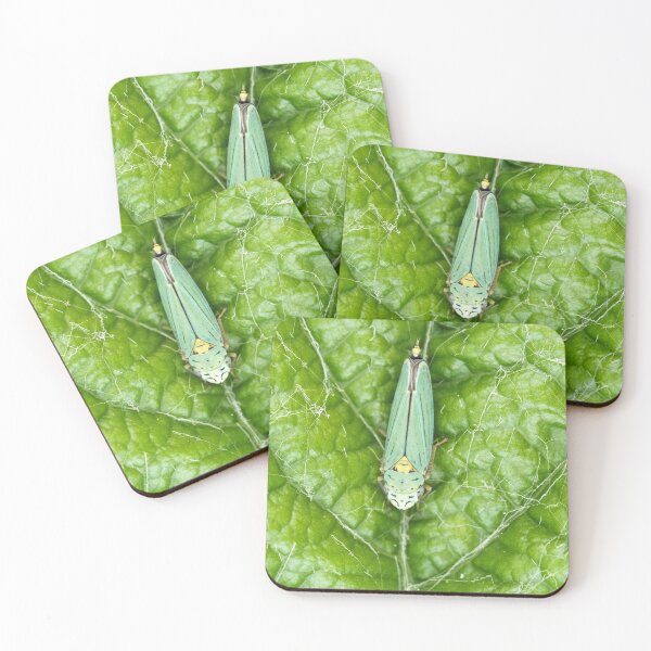 Item preview, Blue-green sharpshooter designed and sold by SDym Photography.