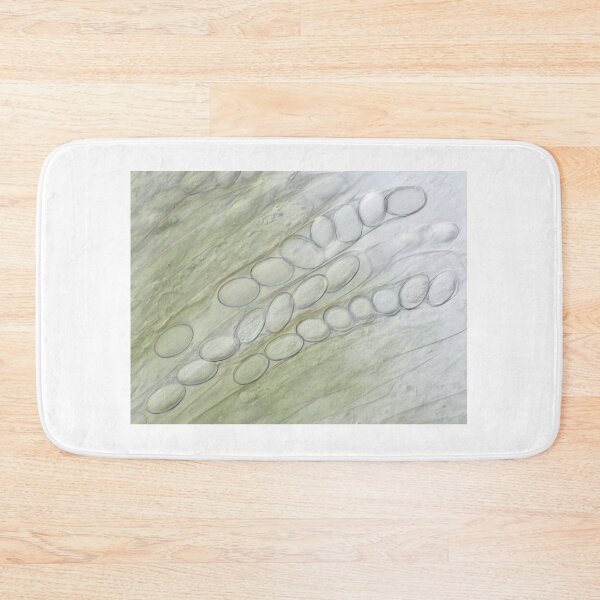 Item preview, Ascospores under the microscope designed and sold by SDym Photography.