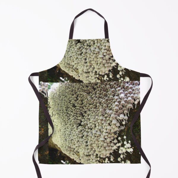 Item preview, A Multitude of Mycena Toadstools, Minnamurra, Australia. designed and sold by kaysharp.