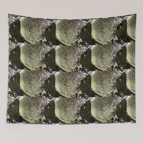 Item preview, A Multitude of Mycena Toadstools, Minnamurra, Australia. designed and sold by kaysharp.