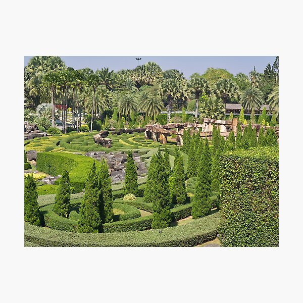 Green Landscaped Garden Photographic Print