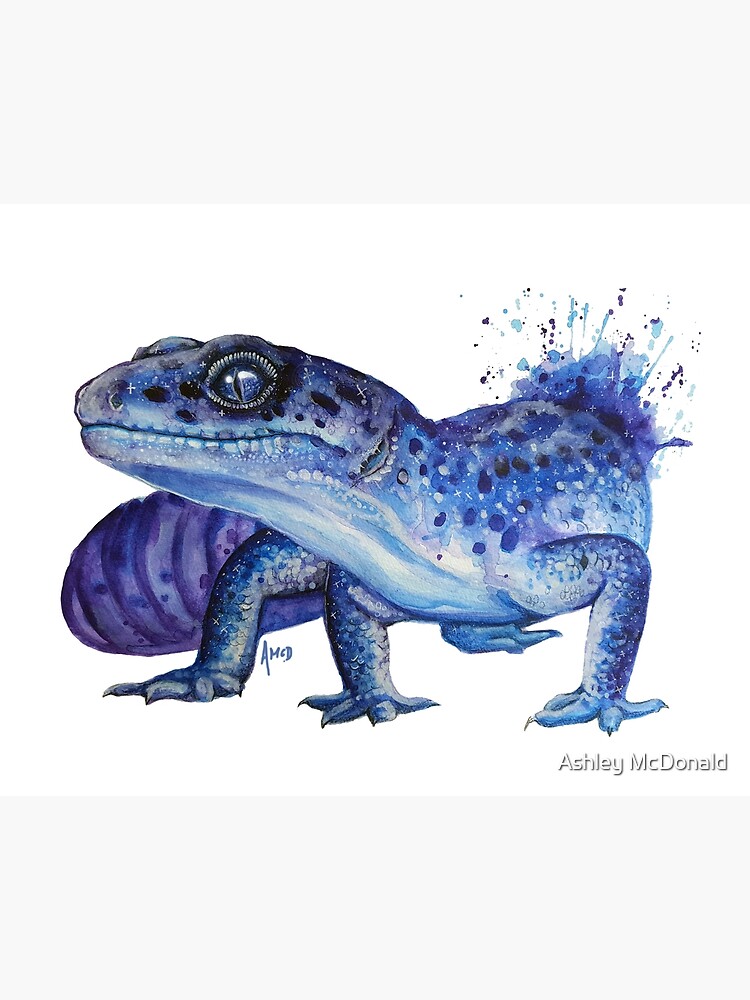 Leopard Gecko on Blue print by Editors Choice