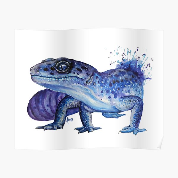 Galaxy Leopard Gecko Poster