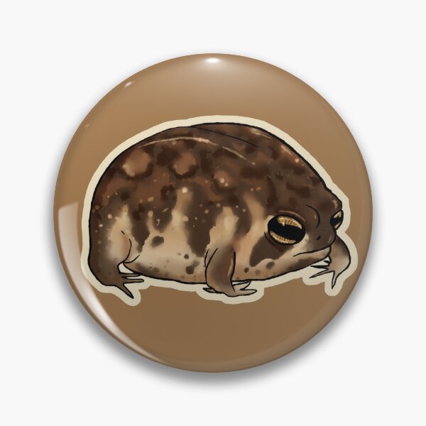 Weather Frog Pin - DNO