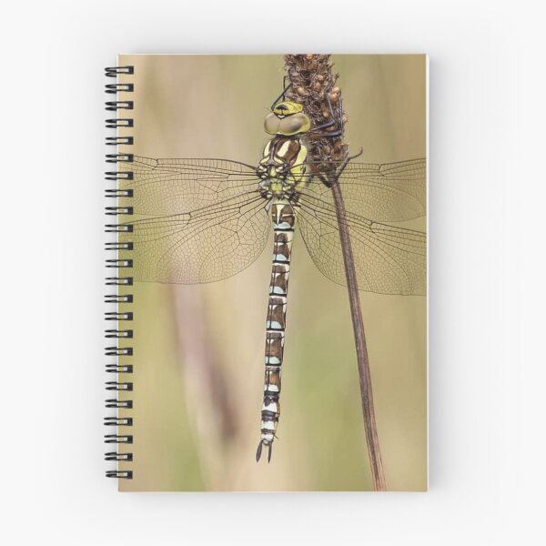 Item preview, Nice natural picture designed and sold by Anahit Petrosyan Art Studio & Unique Print Designs for a Gift.