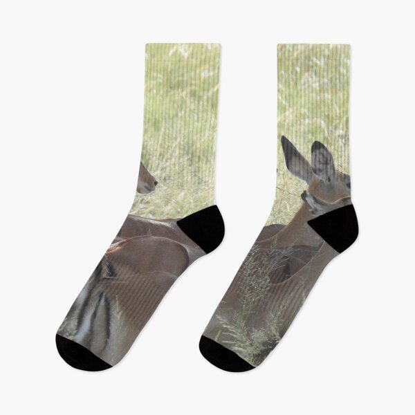 Item preview, Impalas en Serengeti, Tanzania designed and sold by Heaven-Earth.