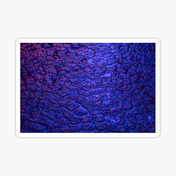 Reflection of light on cobblestones, blue night (Photos) Sticker