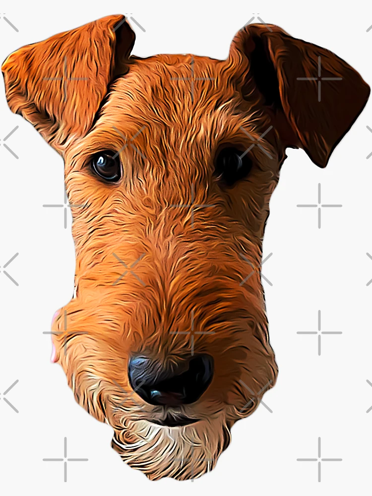 bg,f8f8f8-flat,750x,075,f-pad,