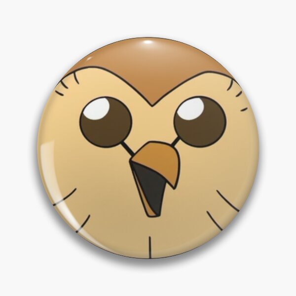 Hooty owl house Pin