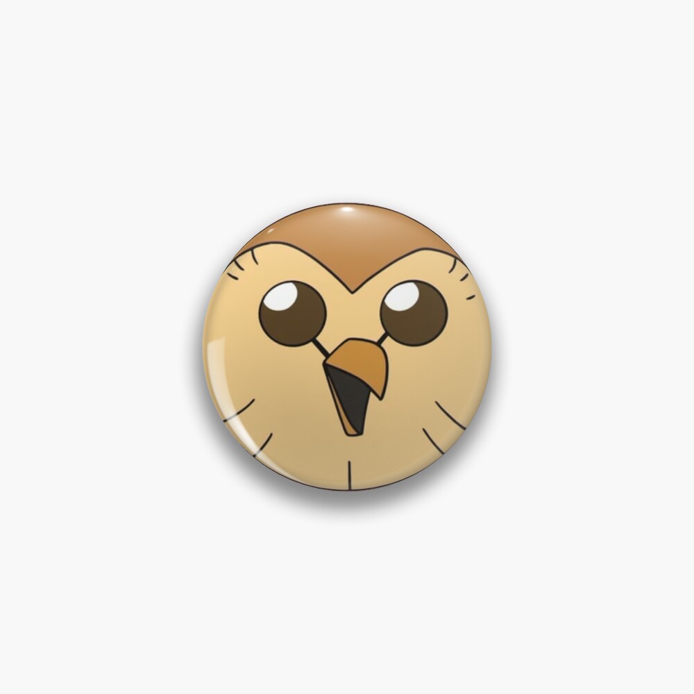 Hooty owl house Pin