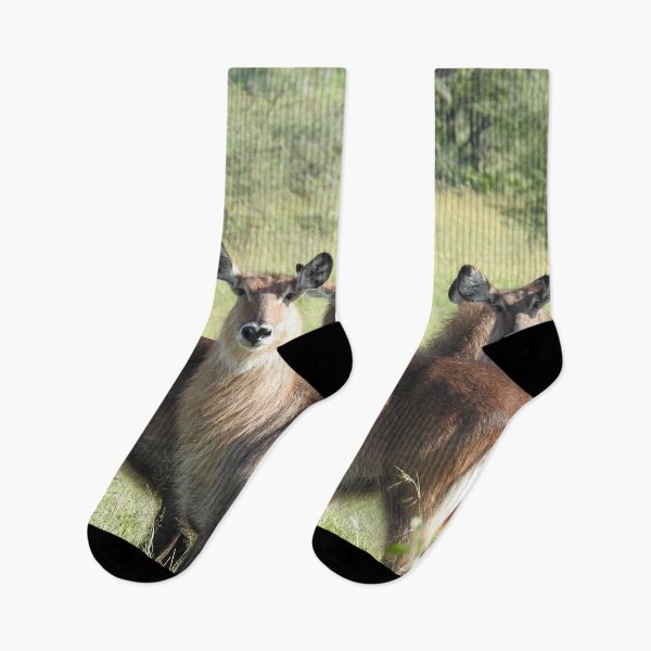 Item preview, Waterbucks en Serengeti, Tanzania designed and sold by Heaven-Earth.