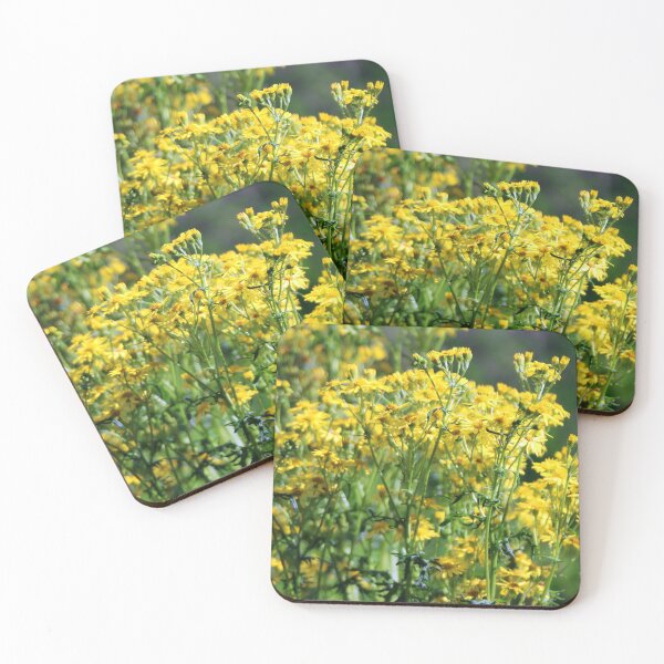 Item preview, Yellow Ragwort designed and sold by BritishYank.