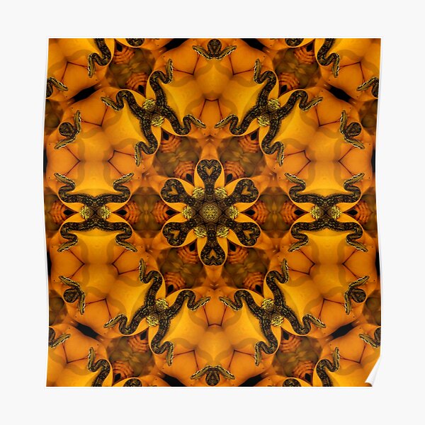 Snake and skin orange mandala Poster