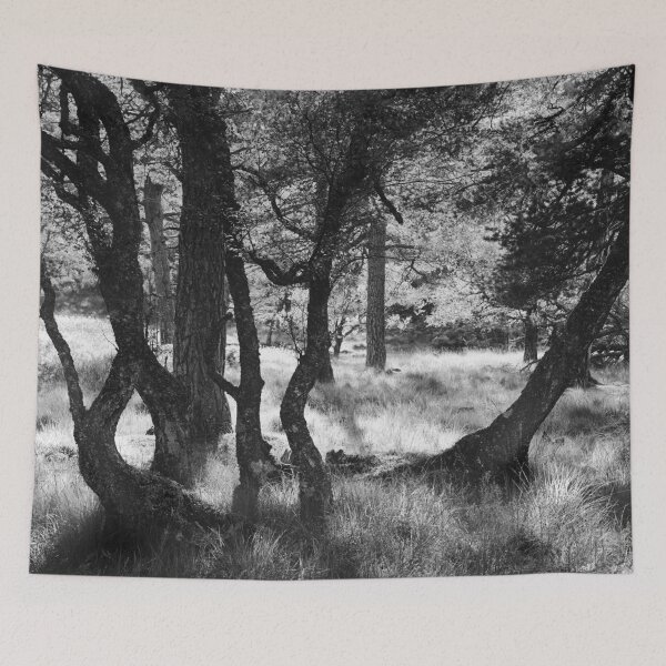 Item preview, Trees designed and sold by ShinyPhoto.