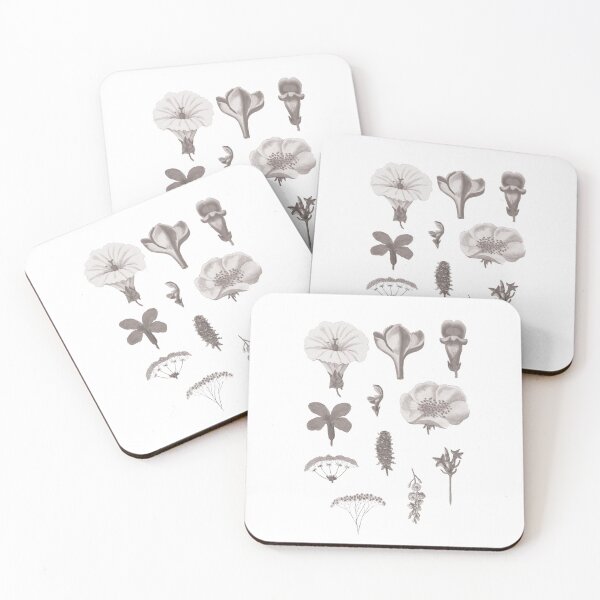 Item preview, Vintage herbarium flower botanical designed and sold by samasa66.